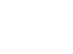 RLP-Excellence-2025-EN-White